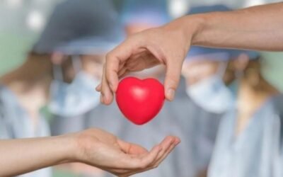 Día Nacional de la Donación de Órganos: ya se realizaron más de 1.600 trasplantes