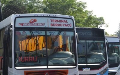 Más formas de pago y conectividad 4G para los choferes: Tucumán estrenó nuevos colectivos