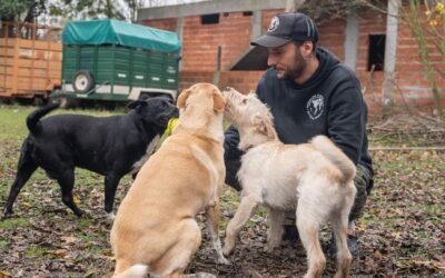 Vio en China cómo cocinaban animales y ahora se dedica a rescatarlos