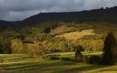 Se descubrió un linaje humano desconocido que vivió hace 6.000 años
