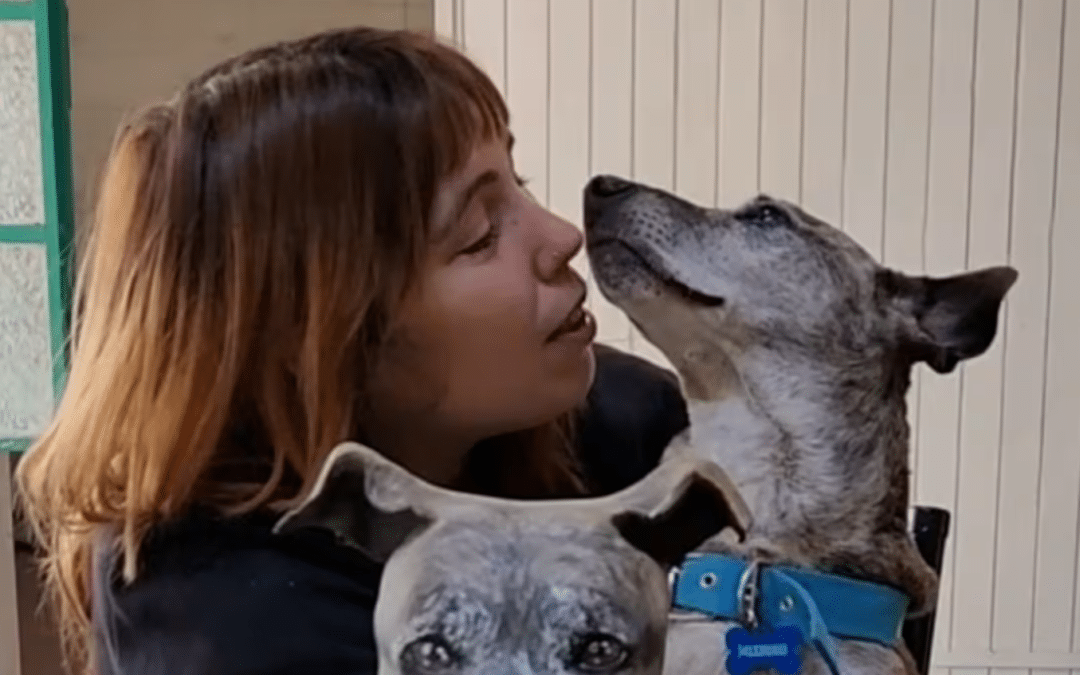 Hace esculturas de mascotas muertas y emociona a sus clientes