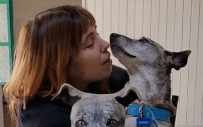 Hace esculturas de mascotas muertas y emociona a sus clientes