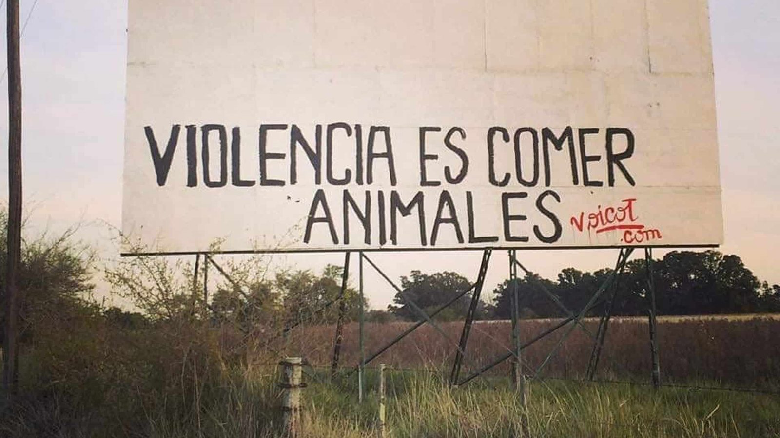 Con sello propio: el primer cartel de Voicot.com y una afirmación que aún asusta (Voicot)