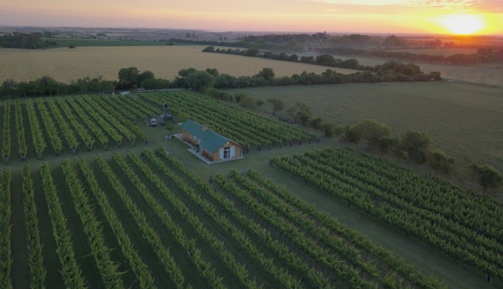 El ecosistema portuario y fluvial opera como una plataforma logística para productores regionales, pymes exportadoras y empresas de comercio exterior (Foto: Shutterstock)