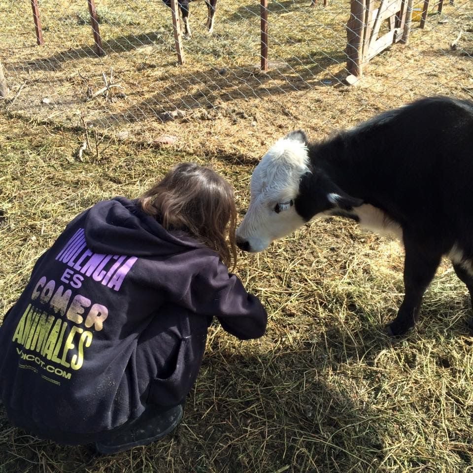 Voicot tiene una tienda en la que venden ropa con inscripciones antiespecistas y libros sobre el movimiento animalista