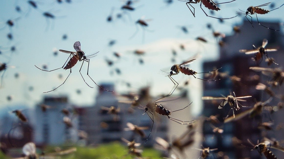 Eventos adversos y experiencia local (Imagen Ilustrativa Infobae)