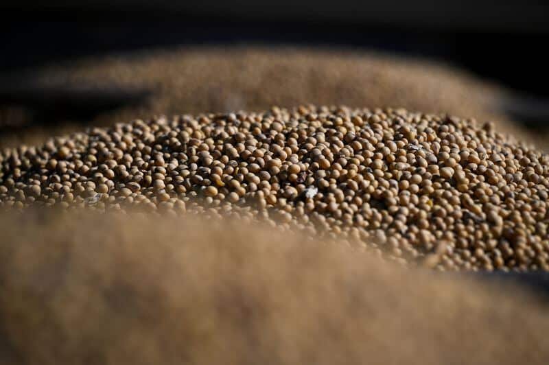 Exportaciones argentinas de soja vuelan gracias a la nueva demanda china