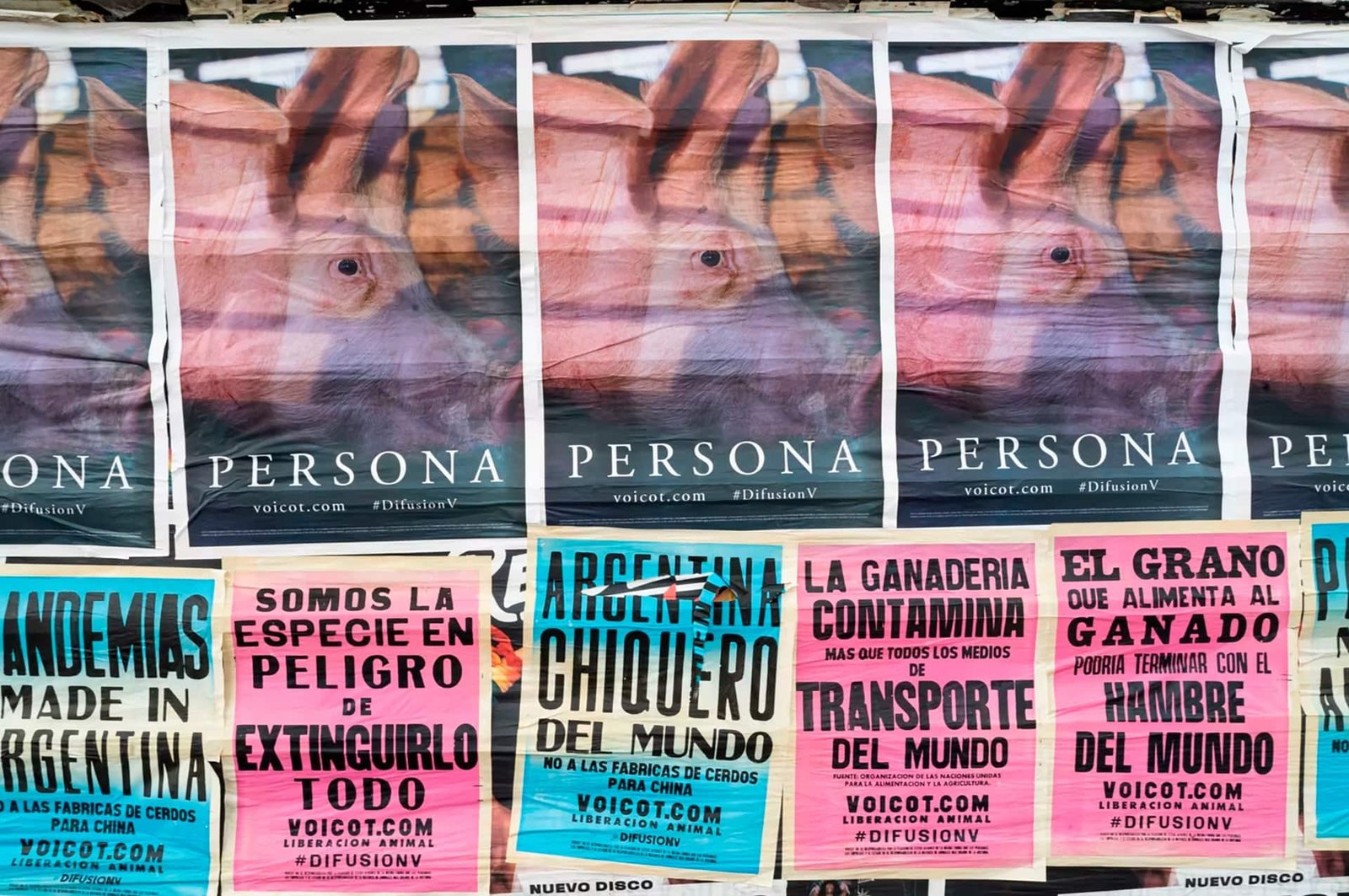 Las intervenciones en la vía pública (Voicot)