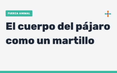 El secreto explosivo del carpintero que le pega 13 veces por segundo