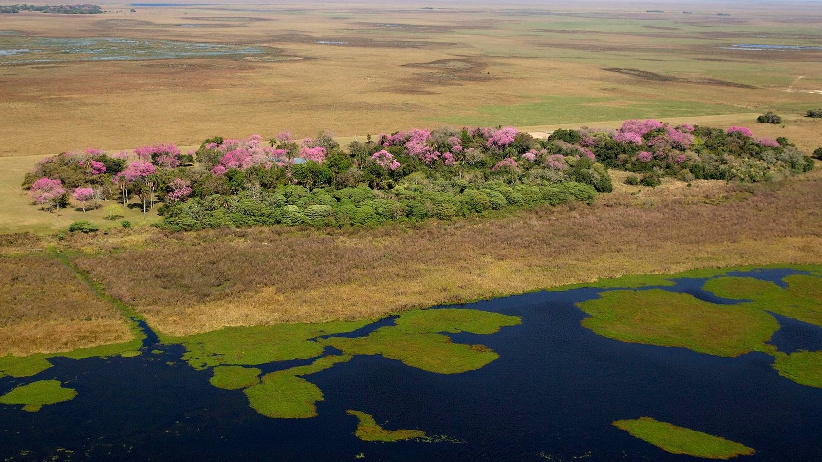 Parque Nacional Iberá, en la provincia de Corrientes (Juan Ramón Díaz Colodraro)